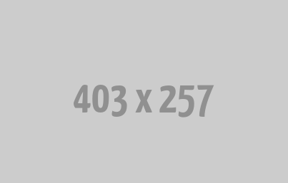 Services Sales Representative